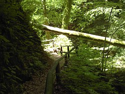 pict1115klamm.jpg